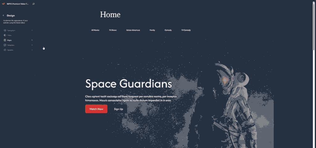 WPVS Premium WordPress Theme Customization