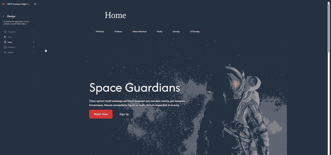 WPVS Premium WordPress Theme Customization